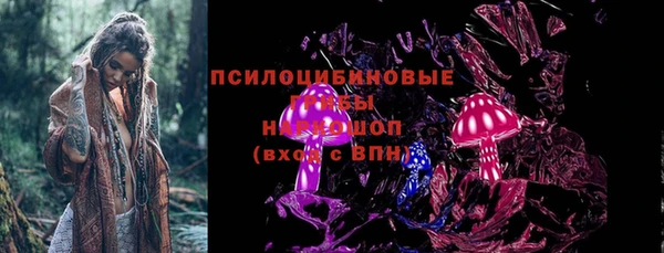амф Вязьма