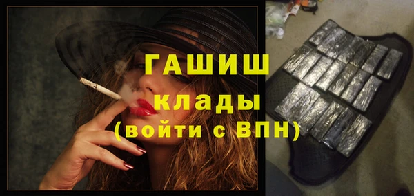 шишки Медвежьегорск
